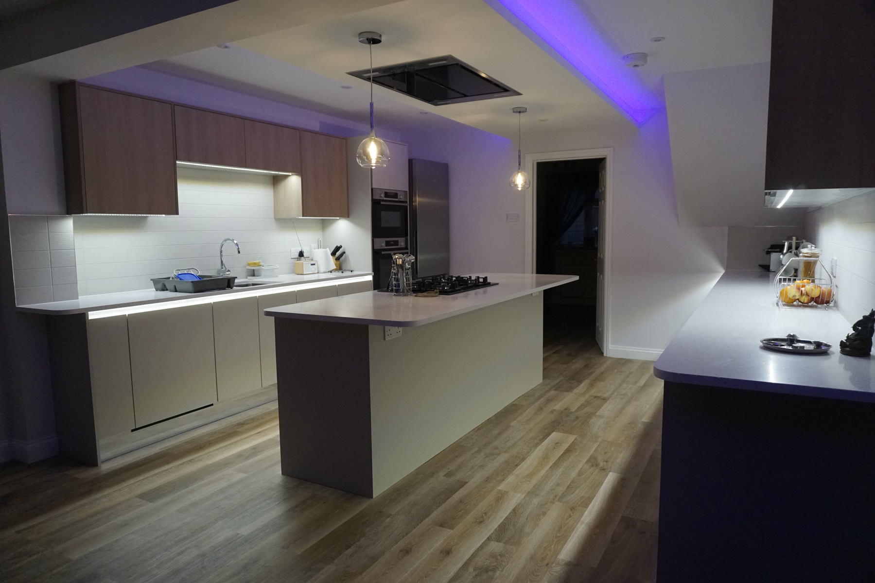Single Storey Back House Extension Old Farm Park - Image 31